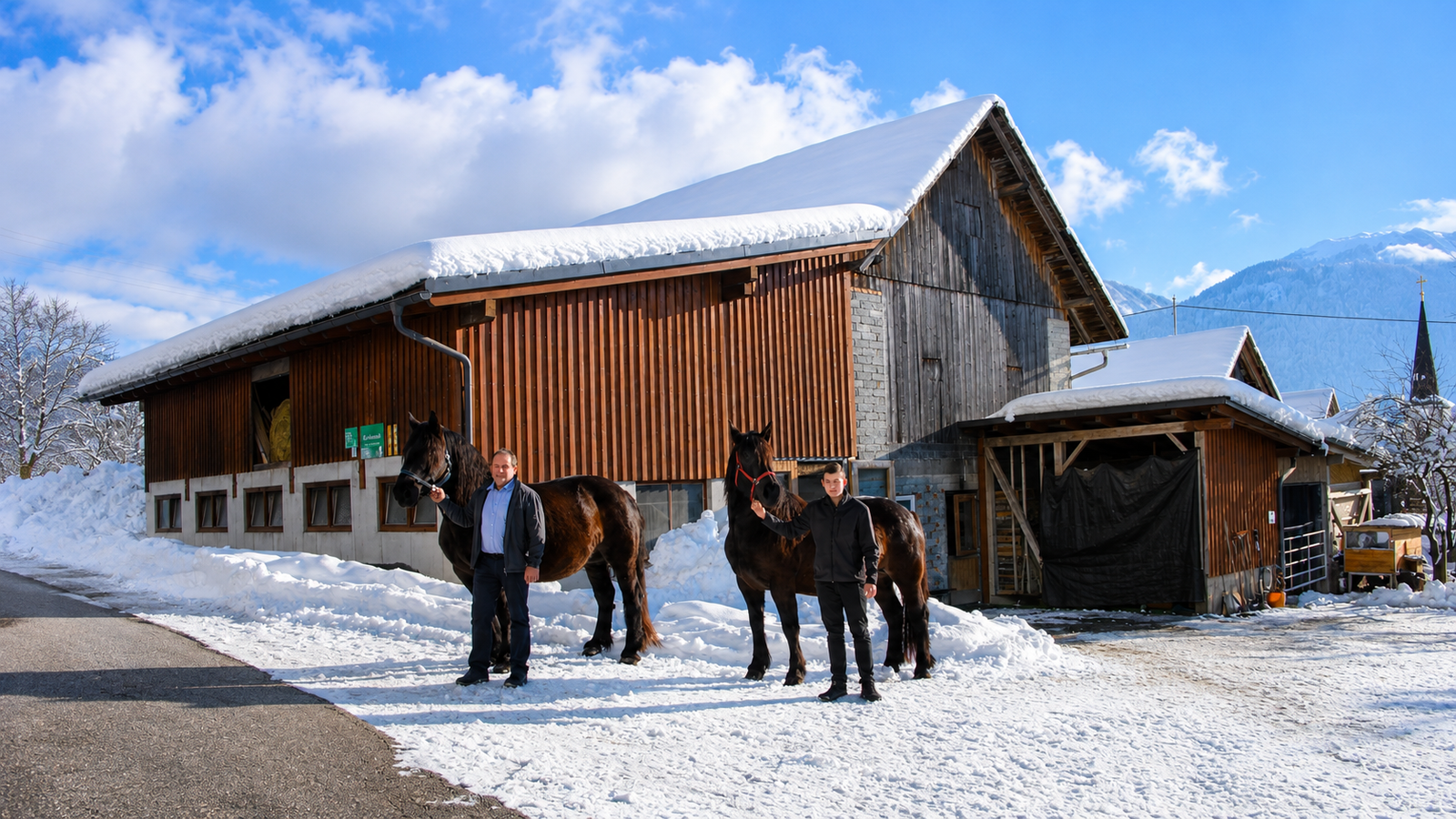Wunderhof Pferde im Winter